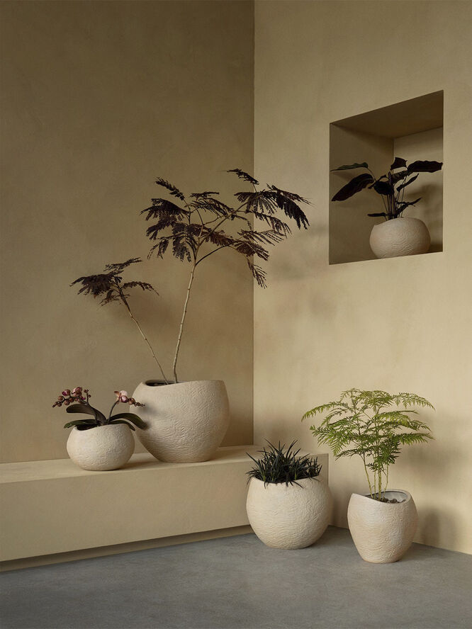 Plantas Planter, H 26, Ivory