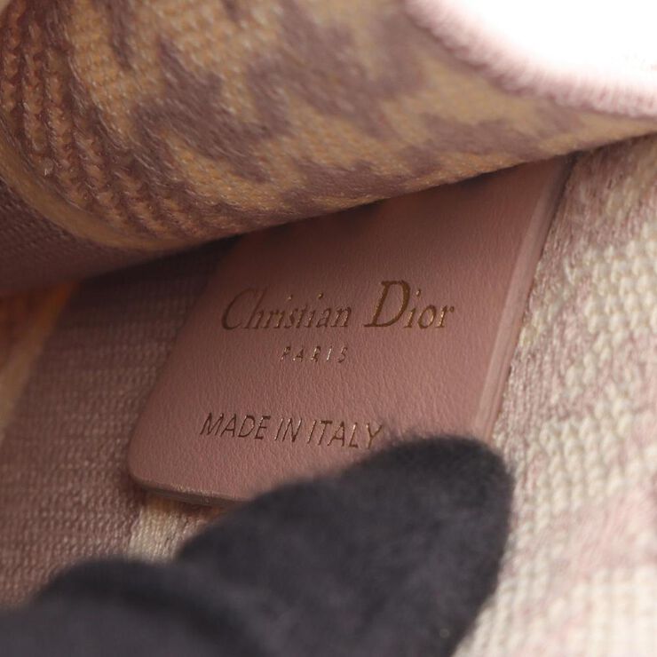 Dior Book Tote