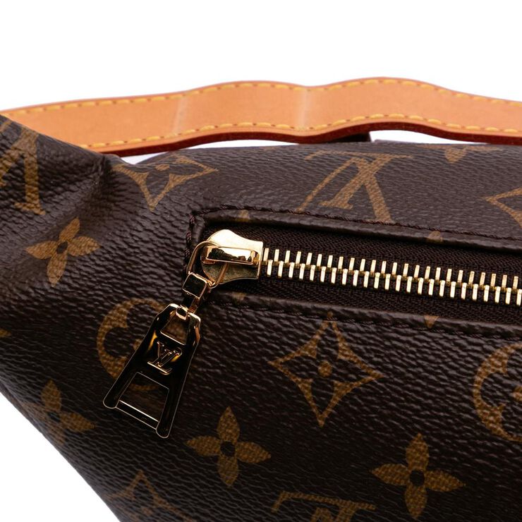 Louis Vuitton Bumbag