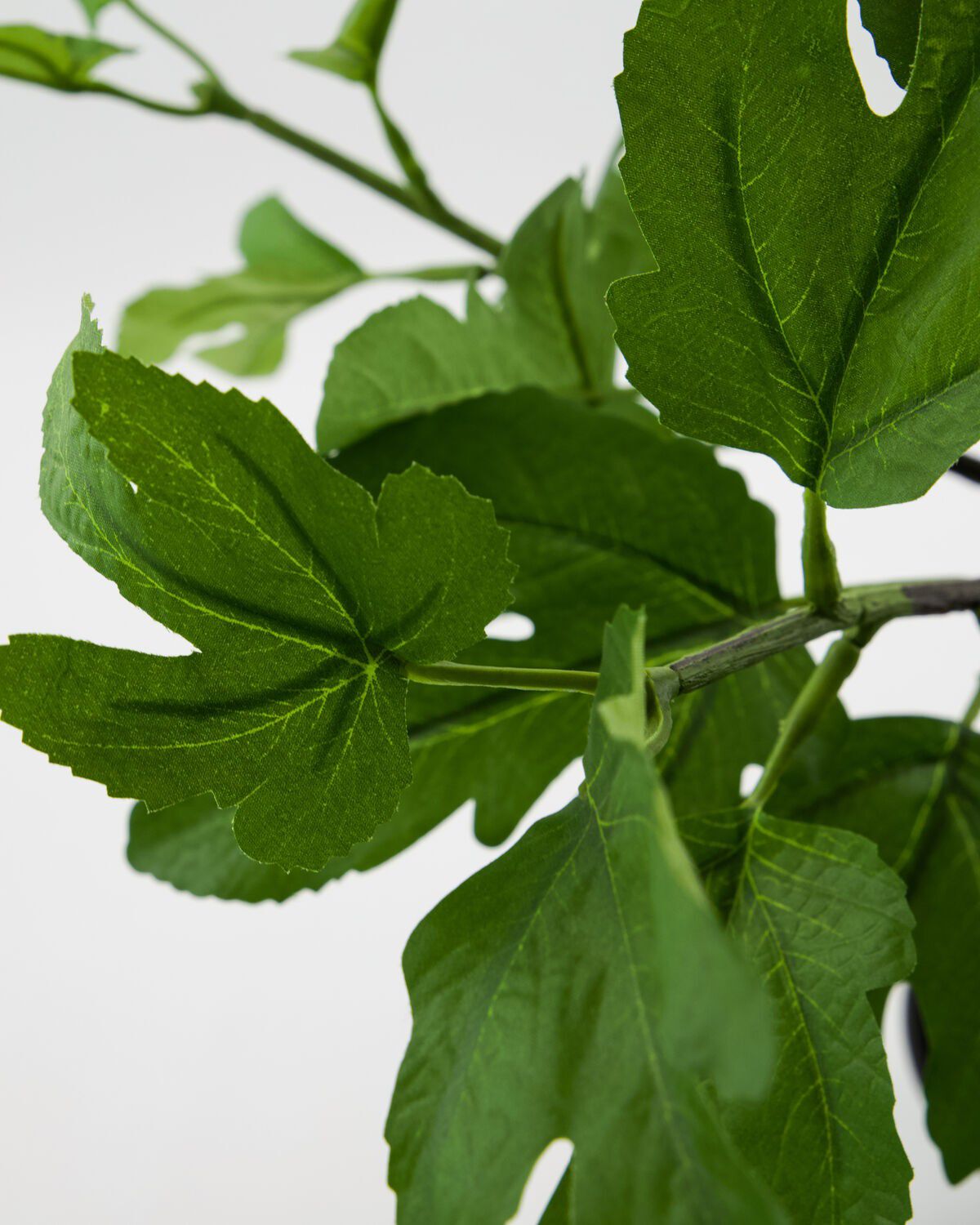 Artificial plant, HDFig, Green
