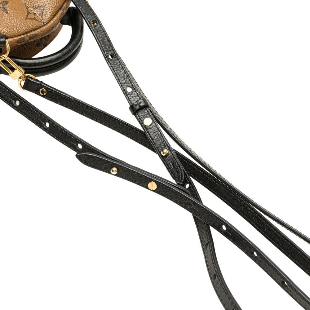 Louis Vuitton Palm Springs