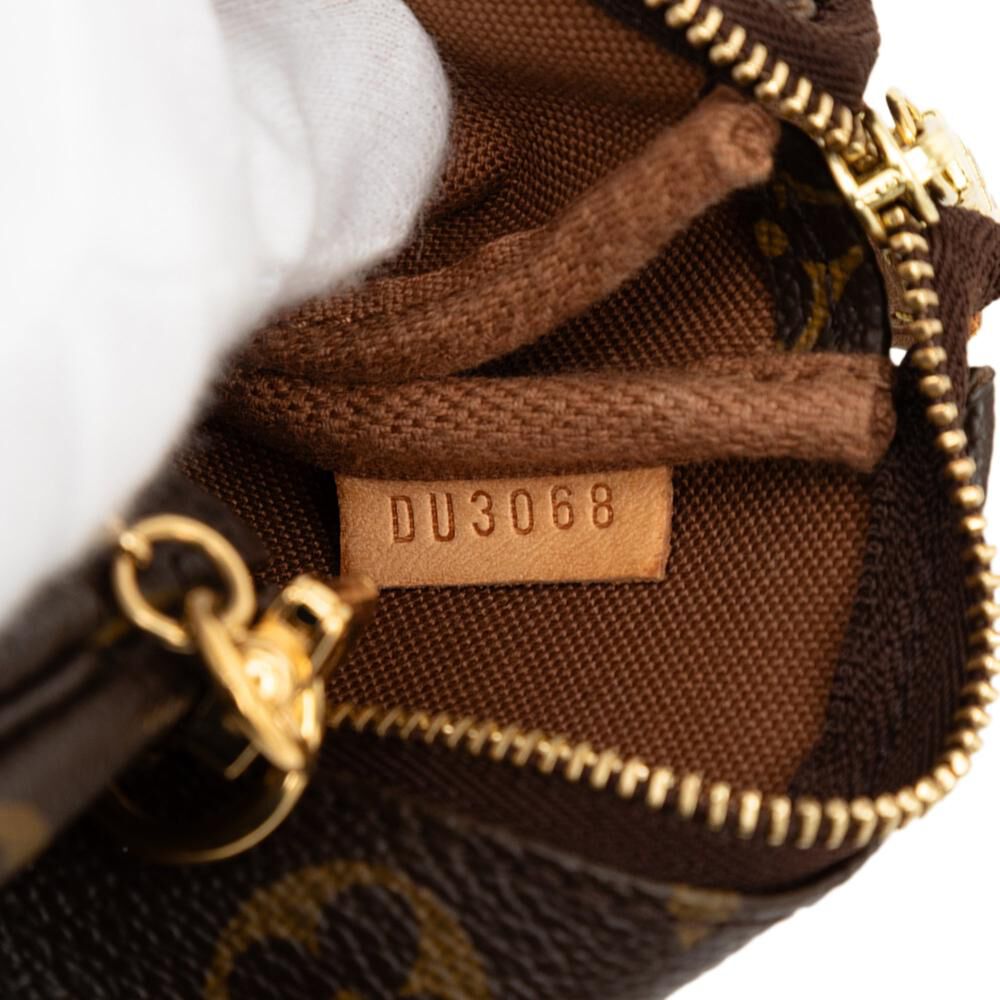 Louis Vuitton Pochette Accessoires