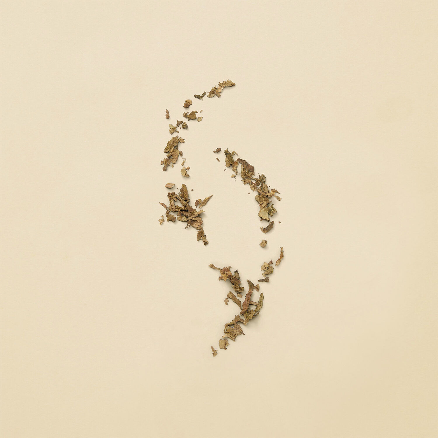 Guilty Revolution Eau De Parfum