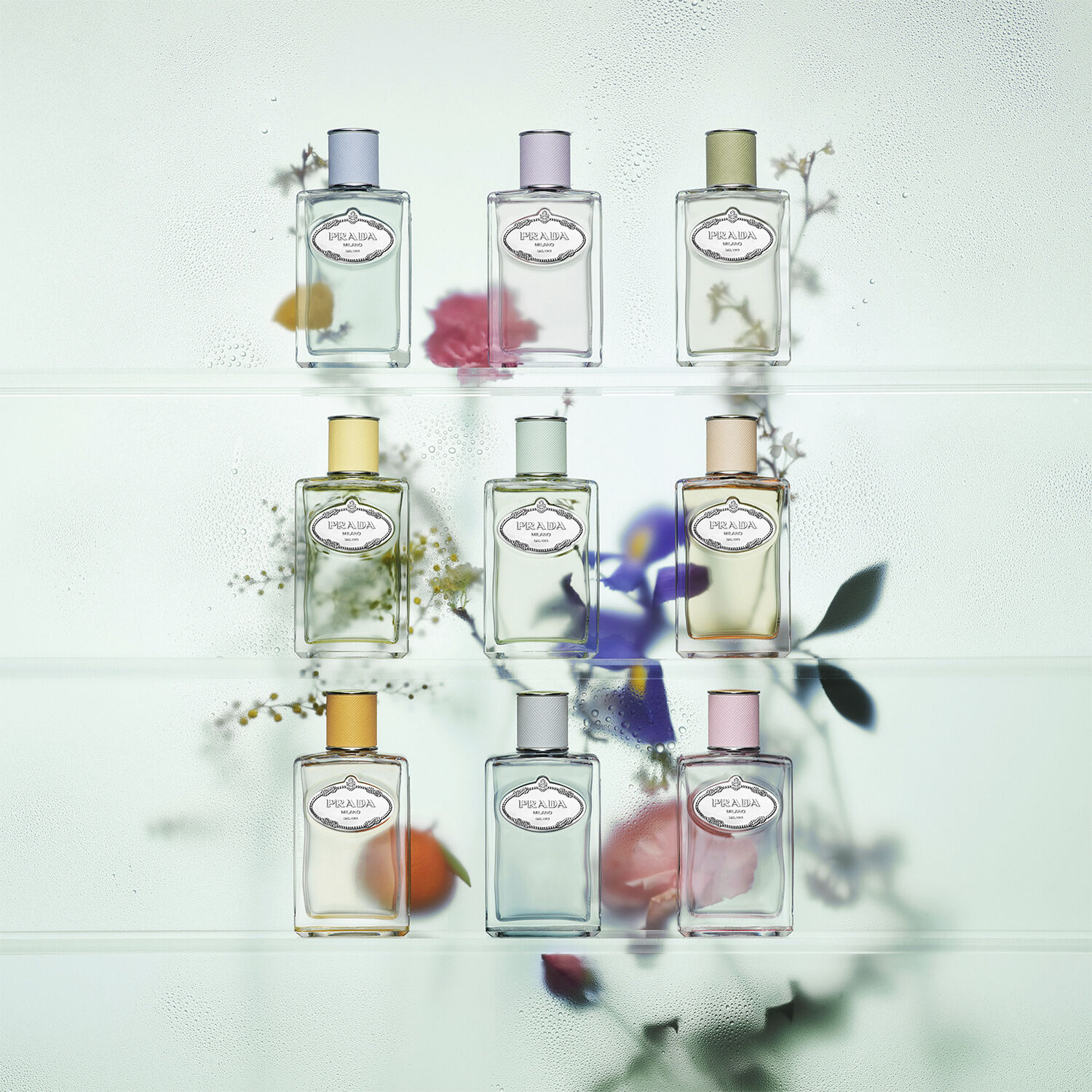 Infusion de Fleur d'Oranger Eau de Parfum
