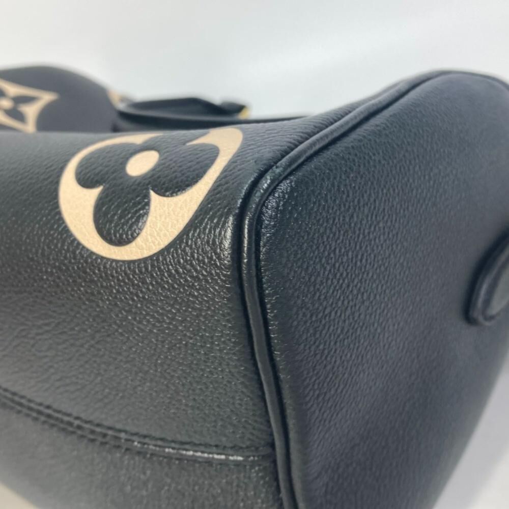 Louis Vuitton Speedy