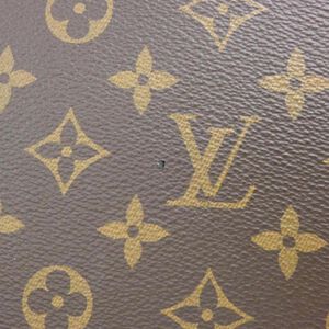 Louis Vuitton Petit Palais