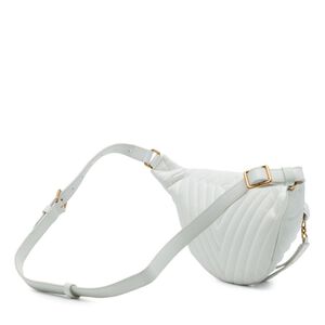 Louis Vuitton Belt Bags