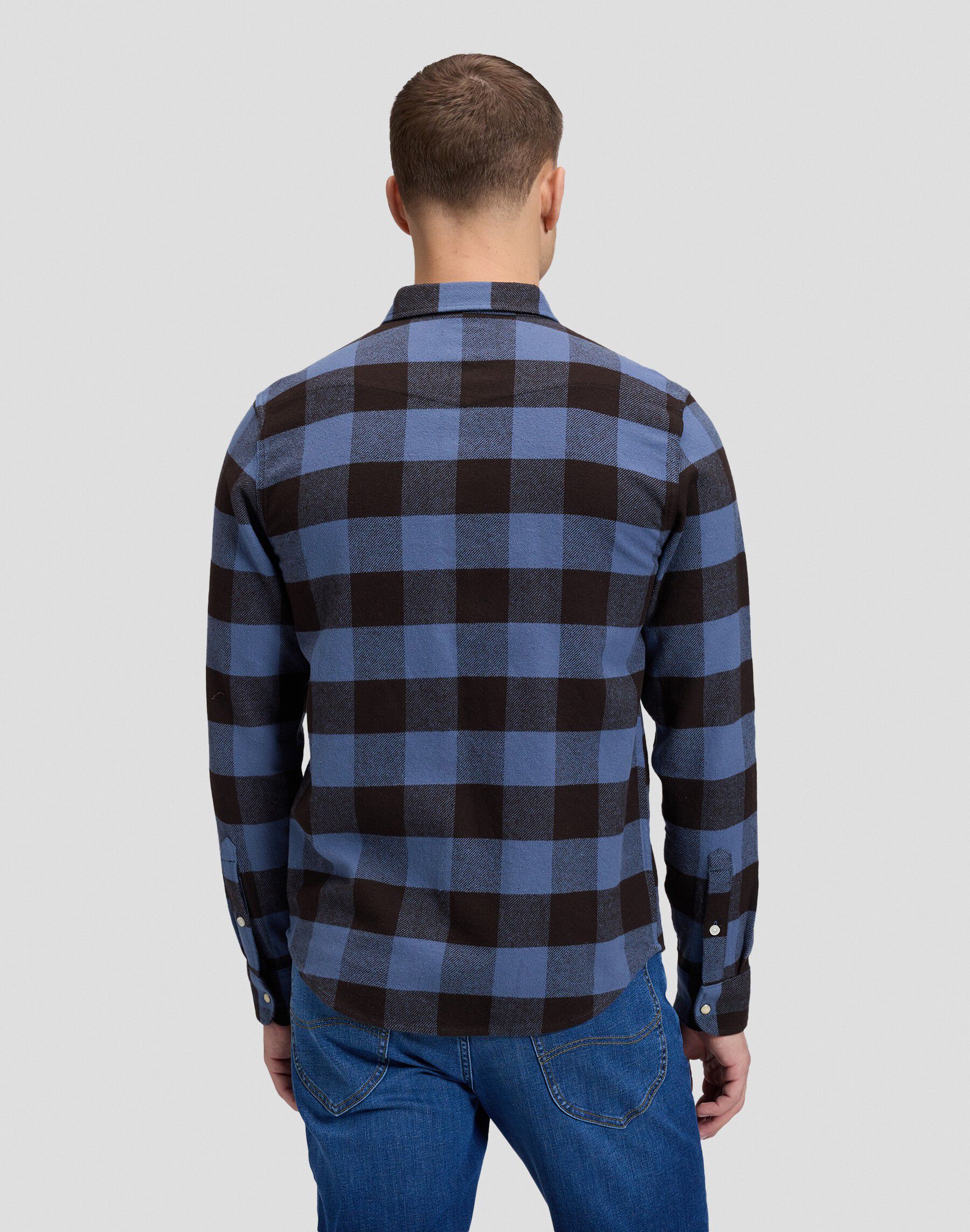 CLEAN_WESTERN_SHIRT CHOCOLATE_TORTE