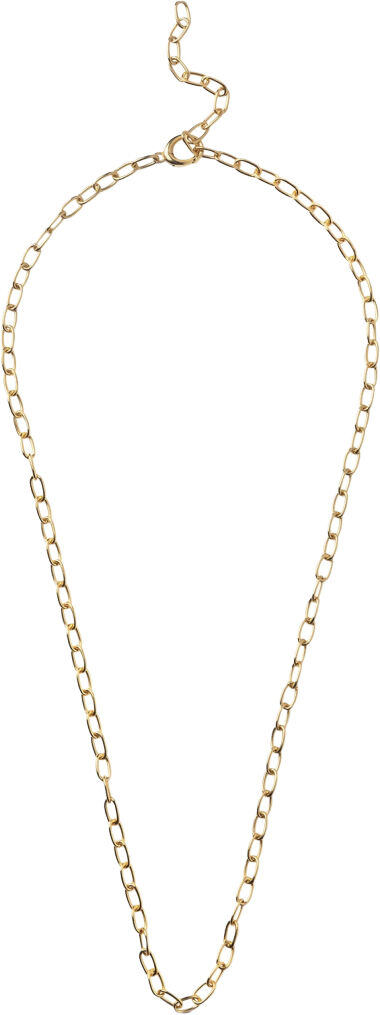 Necklace, Medium Charm