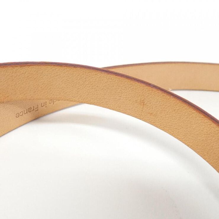 Louis Vuitton Florentine Pochette