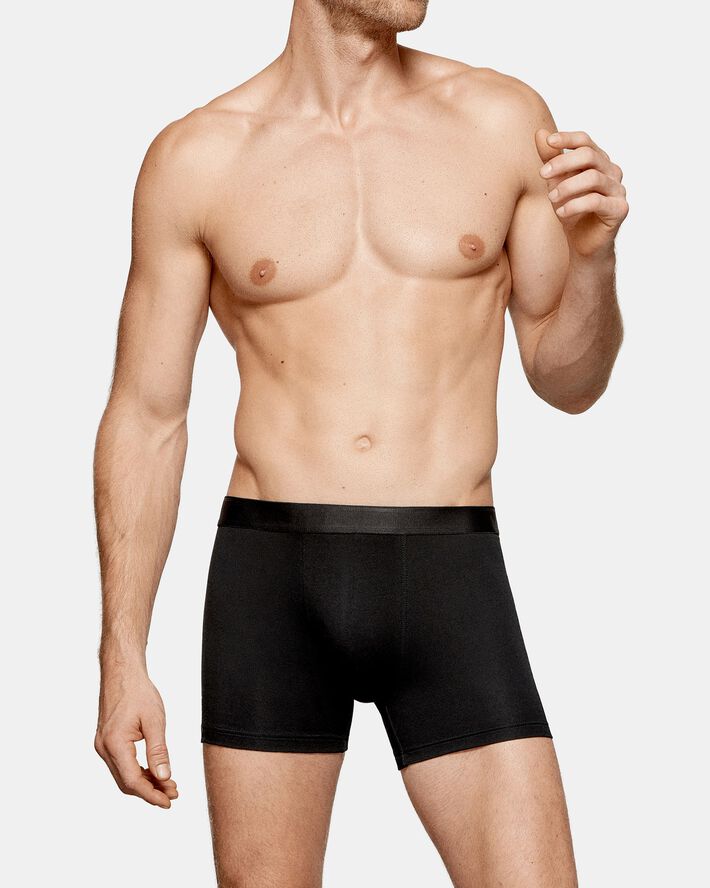 Boxer Executive