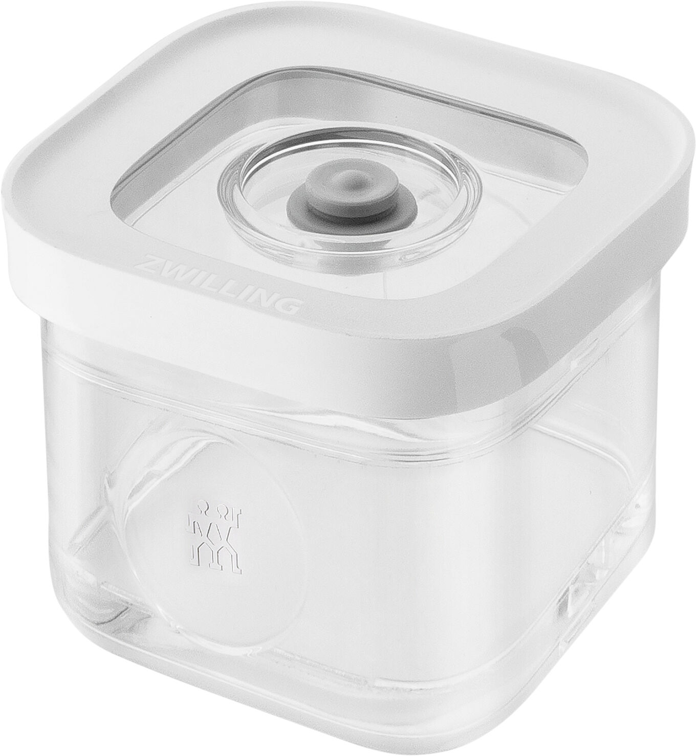 Fresh & Save CUBE box S transparent-vit