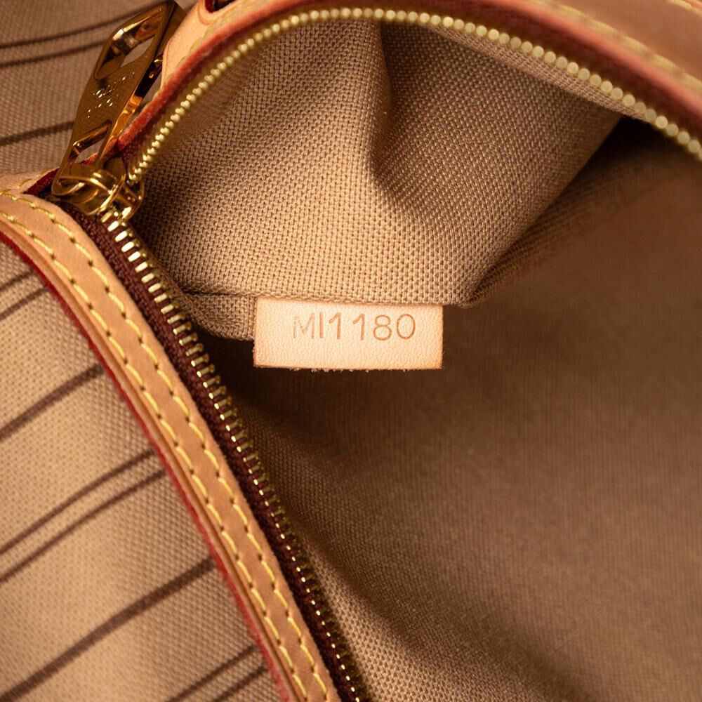 Louis Vuitton Delightful