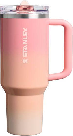 The Quencher Flip Straw Pro Tour Tumbler 1. 18L / 40oz Pink M