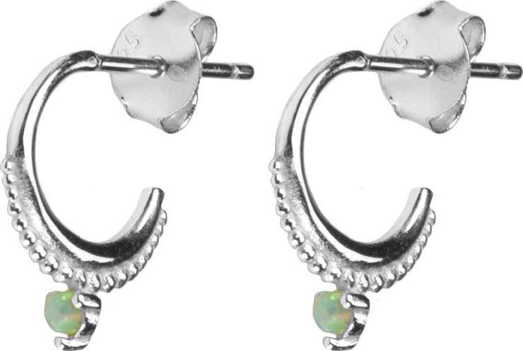 Daria earrings