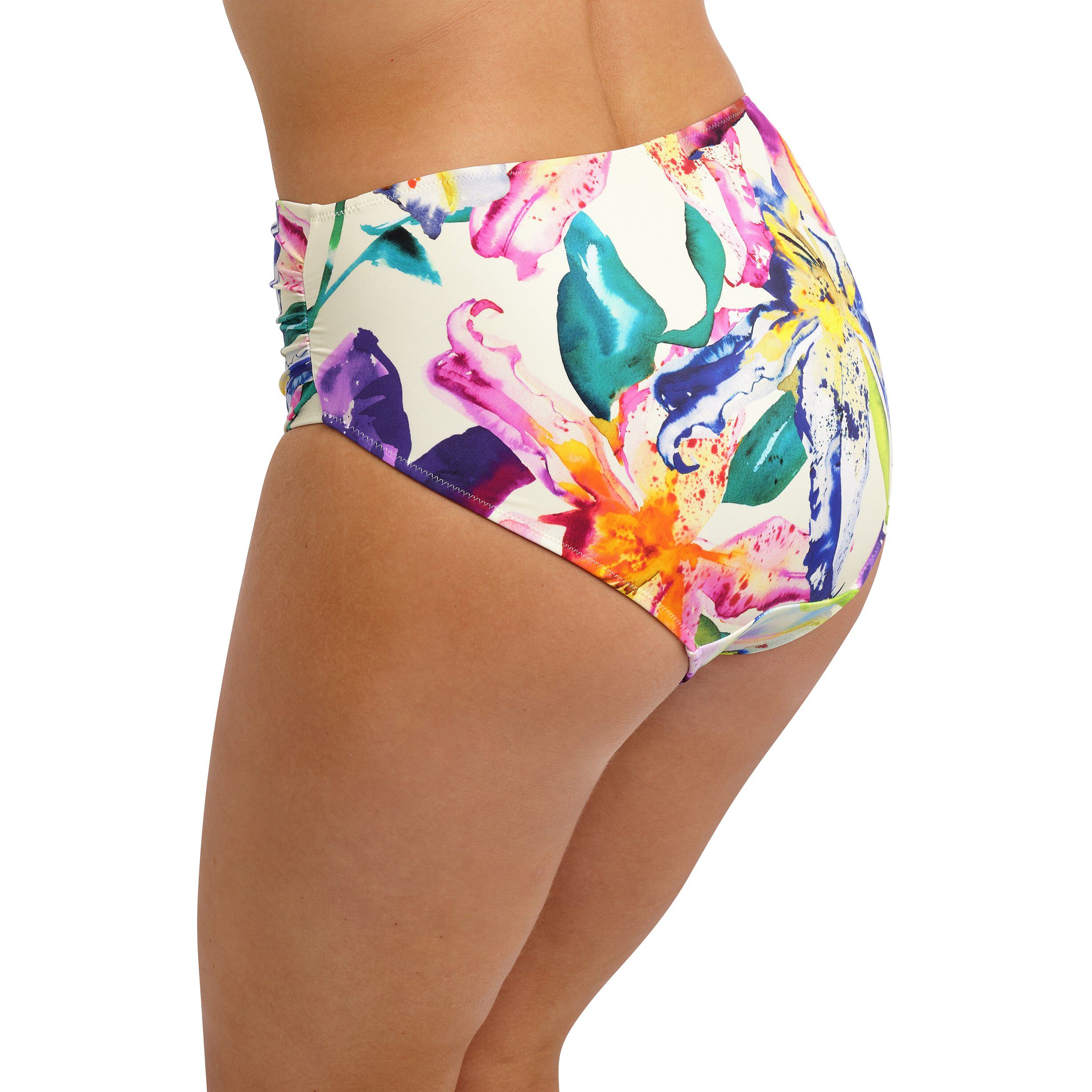 IGUAZU FALLS FULL BIKINI BRIEF