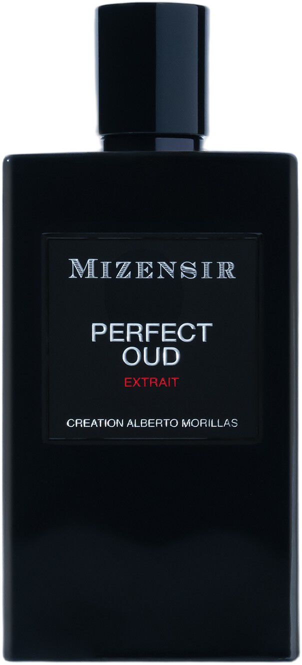 PERFECT OUD EXTRAIT 100ML EDP SPRAY