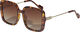 ALIET sunglasses tortoise brown/gold