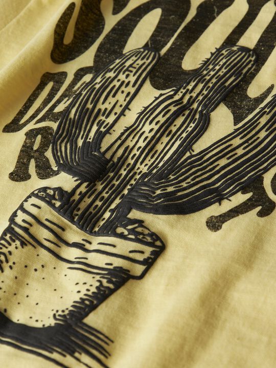 NKMJOKIK SS NREG TOP