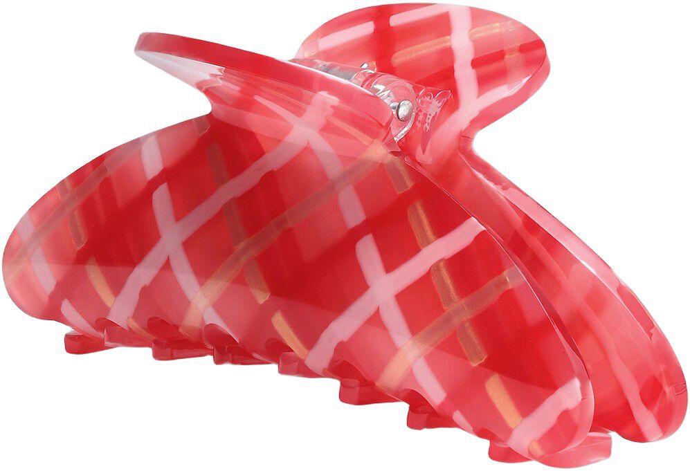 Ida Raggi Solari Big