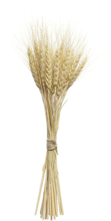 Organic Lindengloss Spray