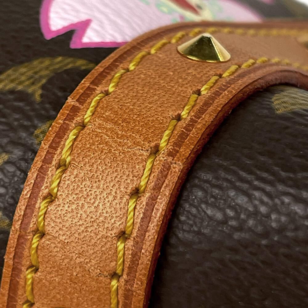 Louis Vuitton Papillon