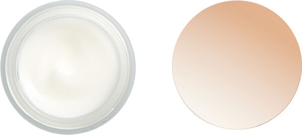 Revolution Skincare Hydration Boost Night