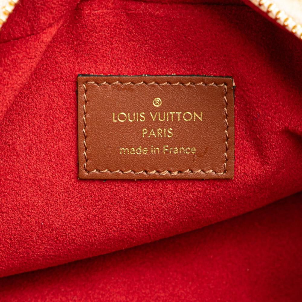 Louis Vuitton Shoulder Bags