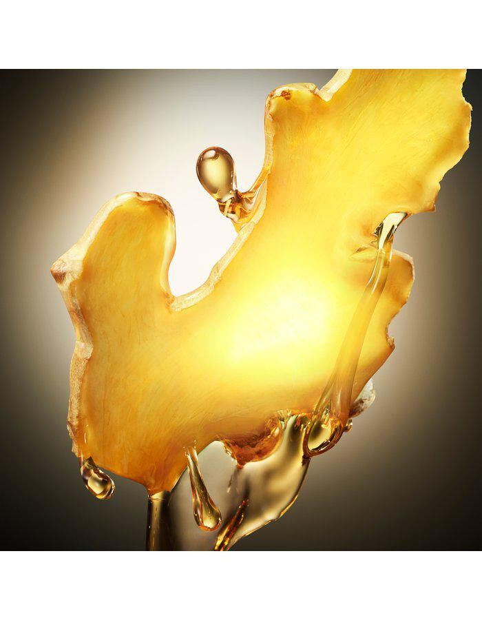 The Scent Eau De Toilette