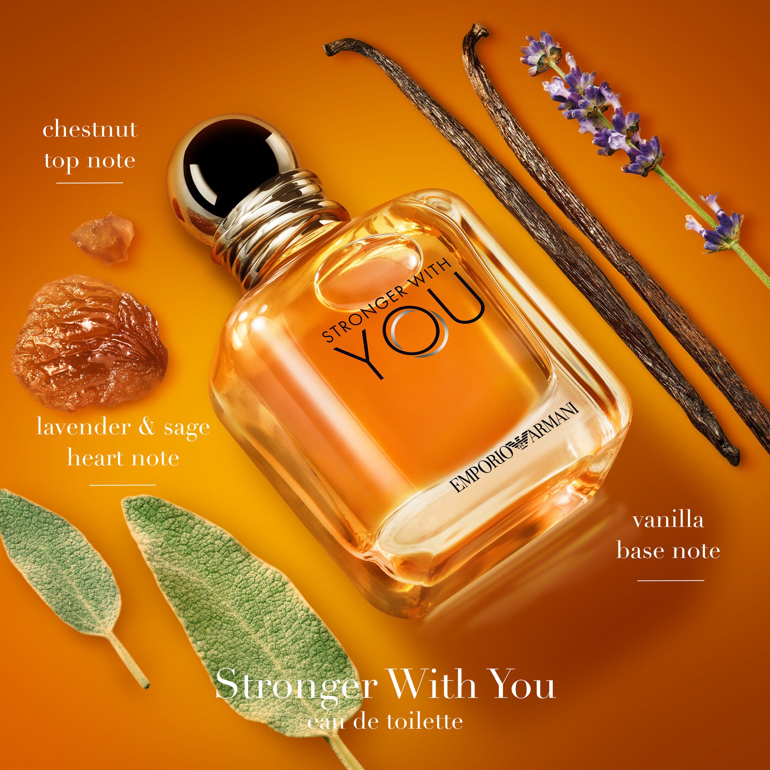Emporio Stronger with You EDT