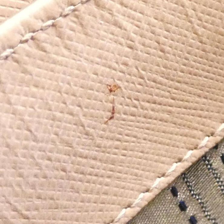 Salvatore Ferragamo Handbag