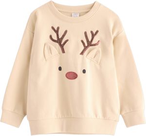 Soft jersey sweatshirt with a brush