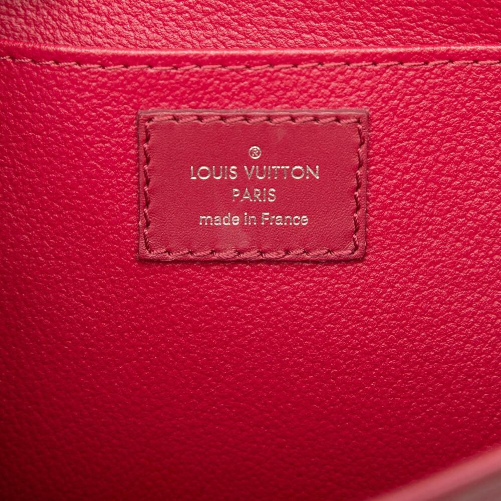 Louis Vuitton Pouch