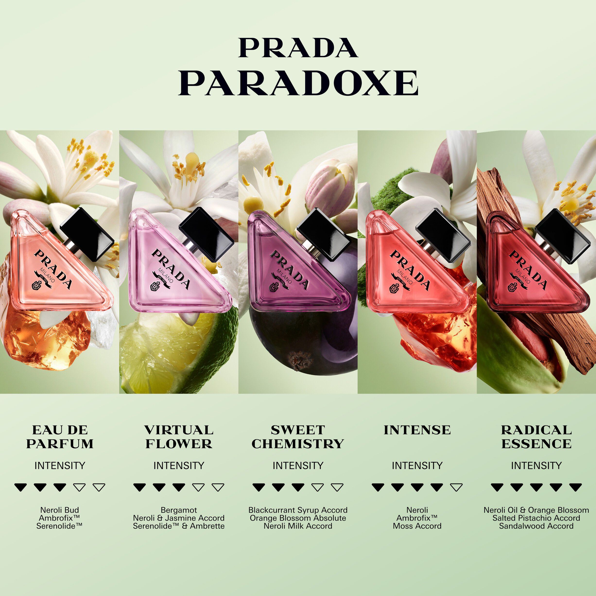 Paradoxe Radical Essence Eau de Parfum