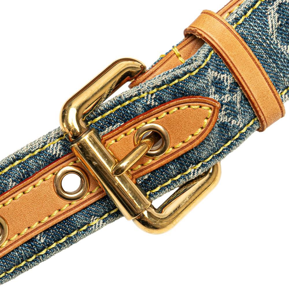 Louis Vuitton Bumbag