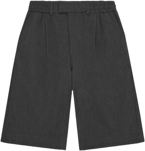 Suit Shorts