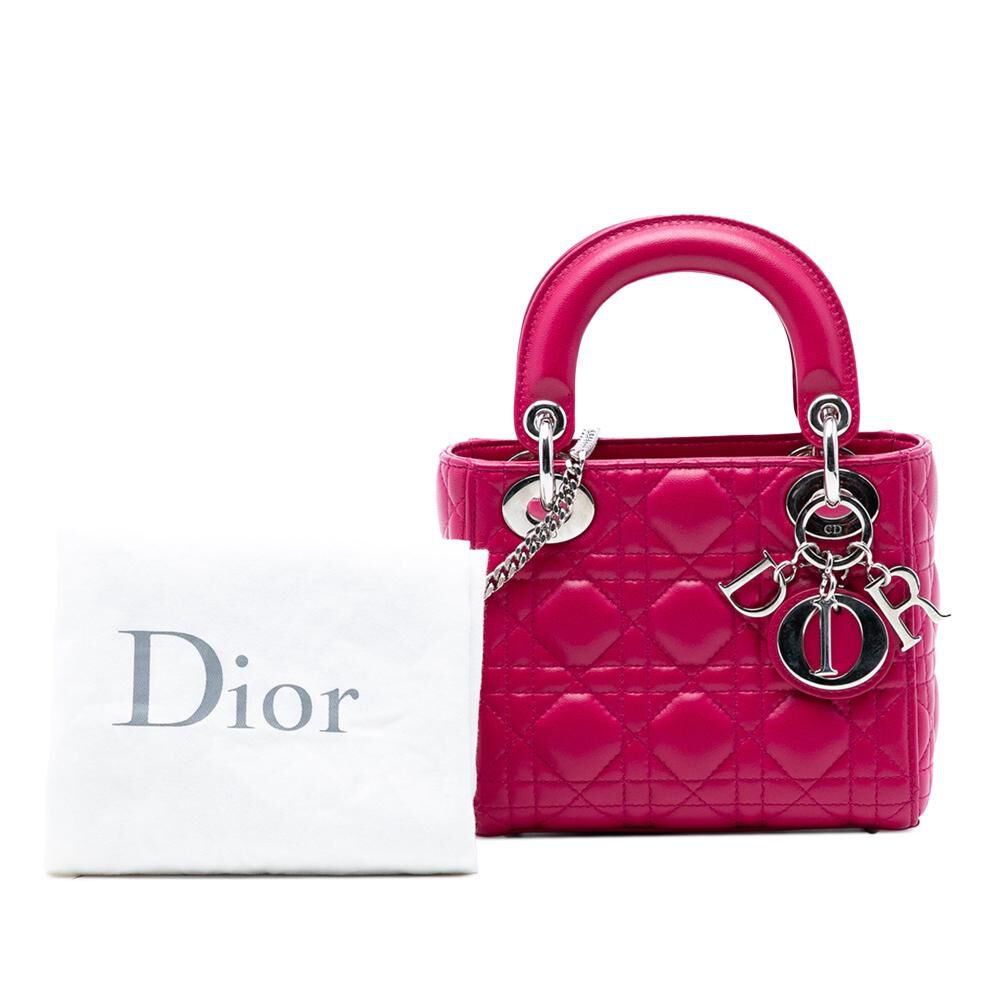 Dior Handbag