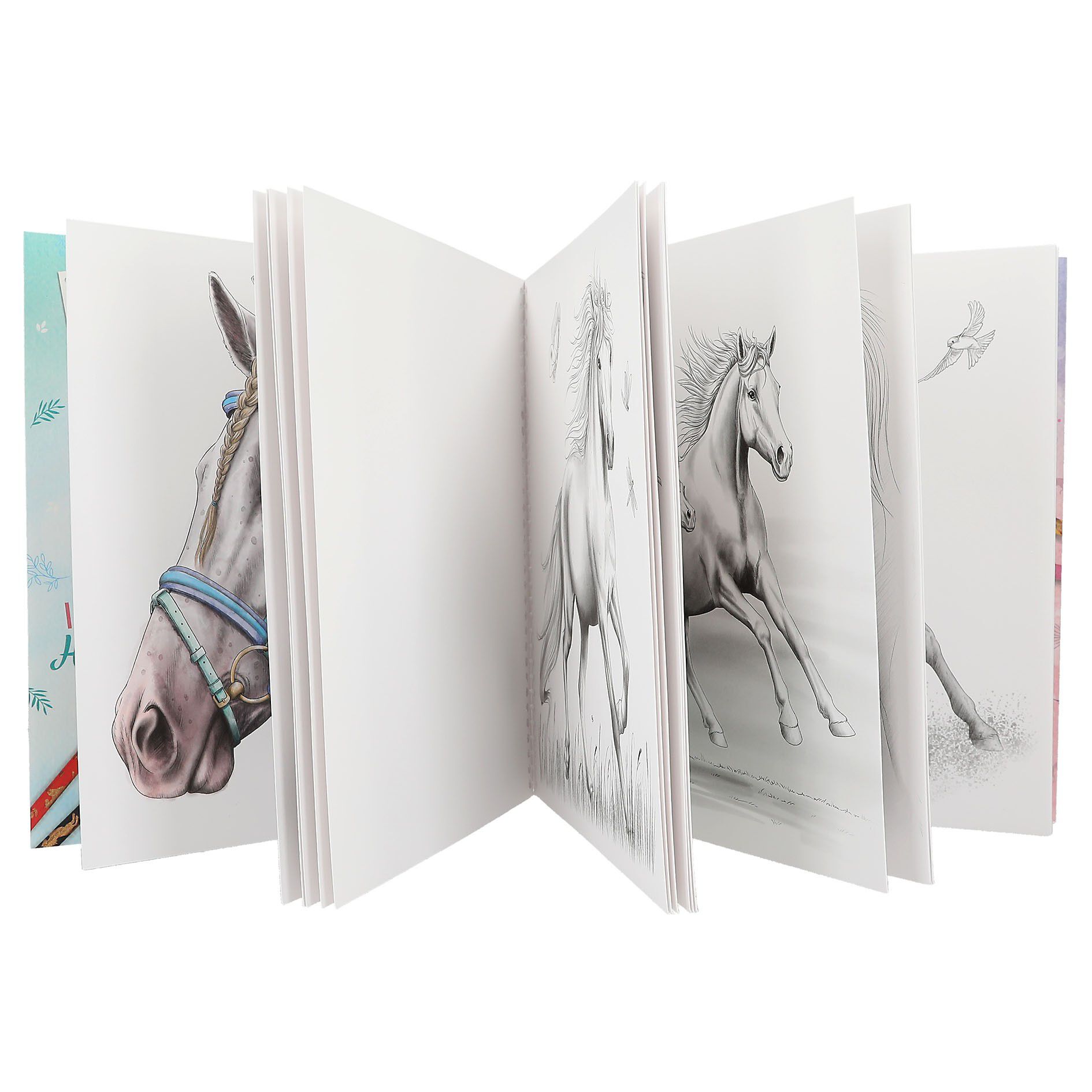 Miss Melody Special Maleb