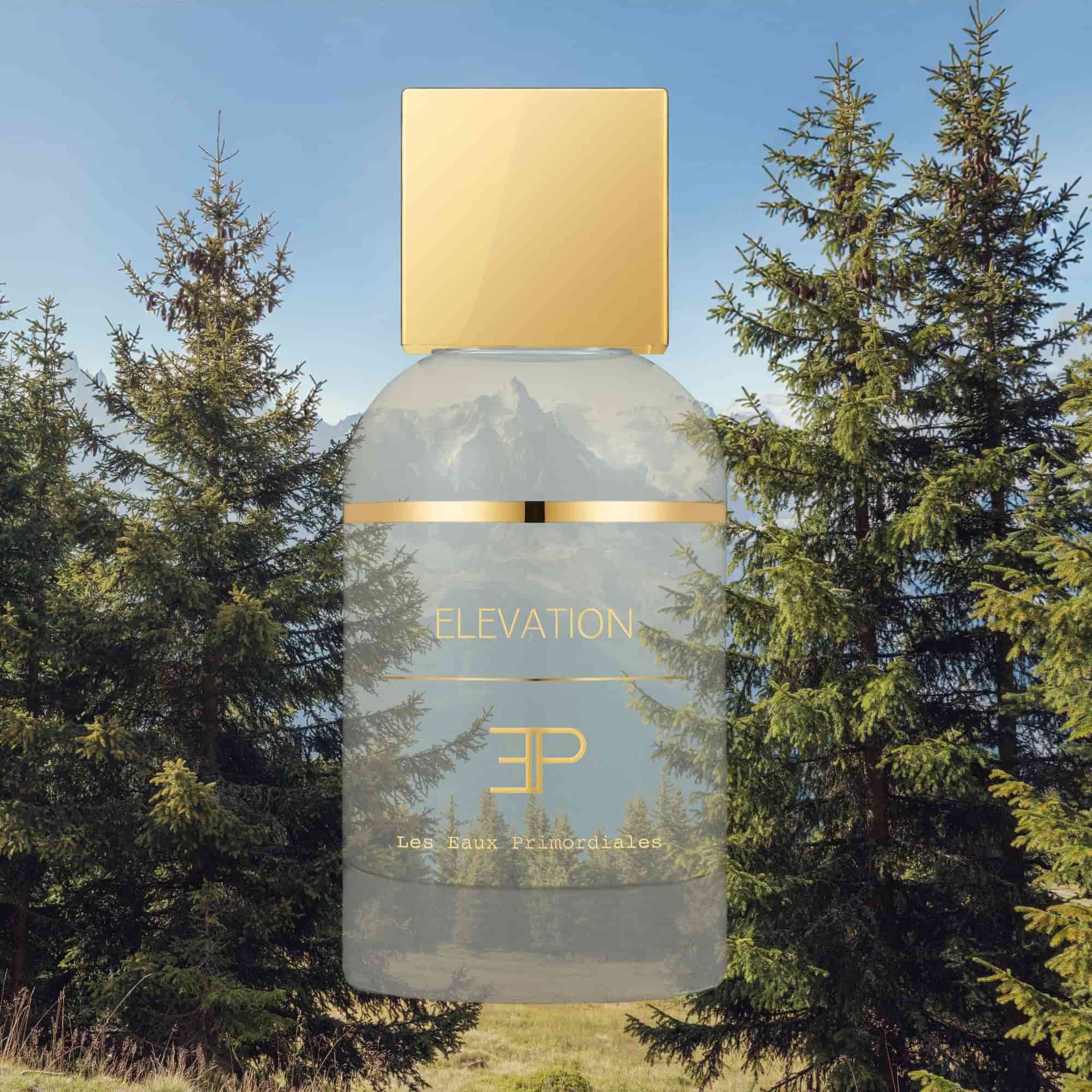 LES EAUX PRIMORDIALES Elevation 100 ml.