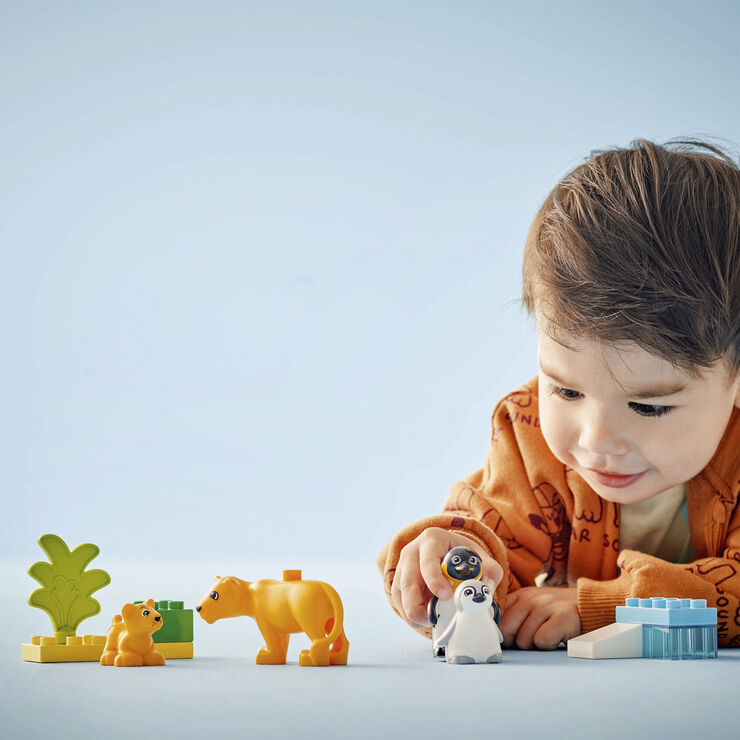 Vilde dyrefamilier pingviner og løver 10442