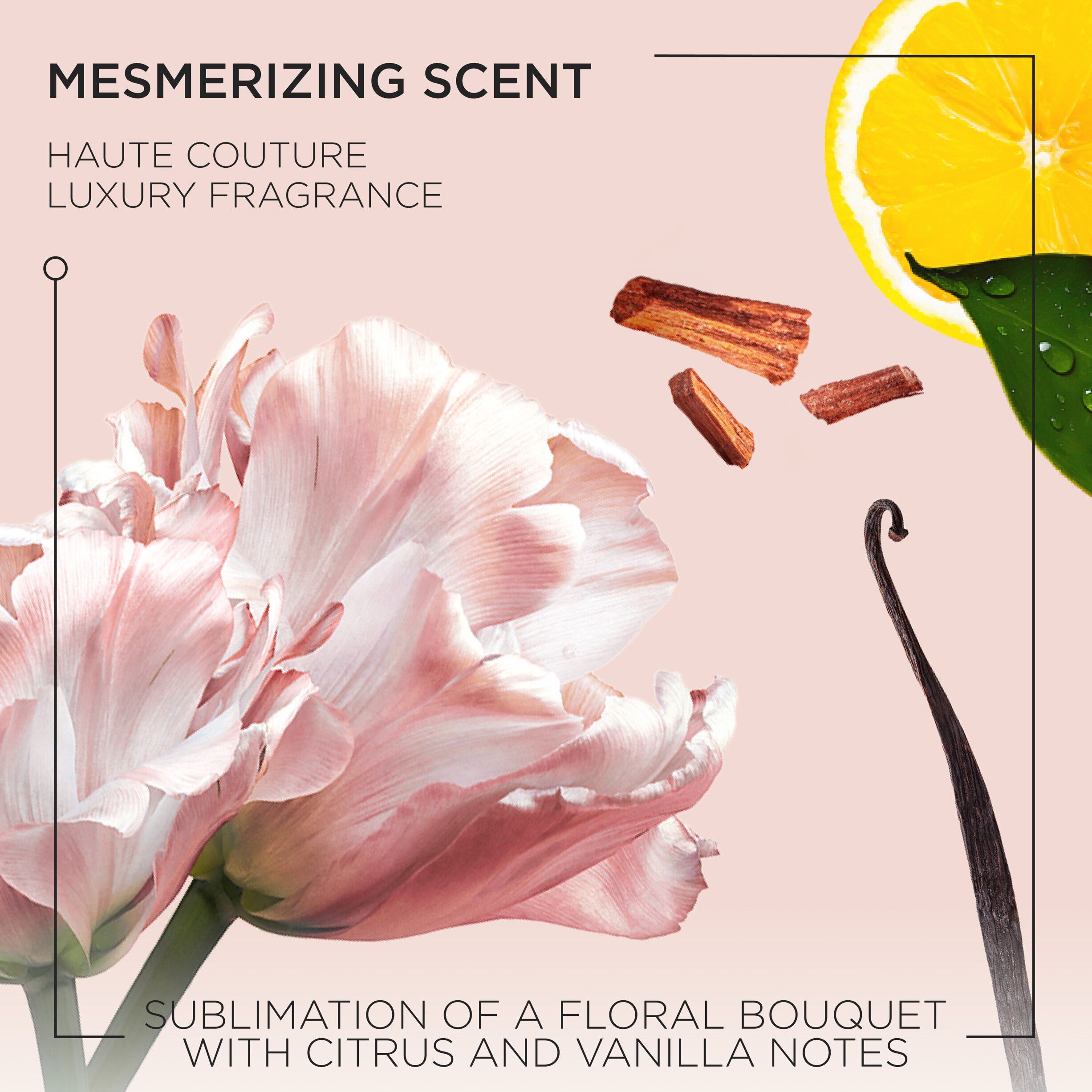 Gloss Absolu Bain 80ml Travel Size