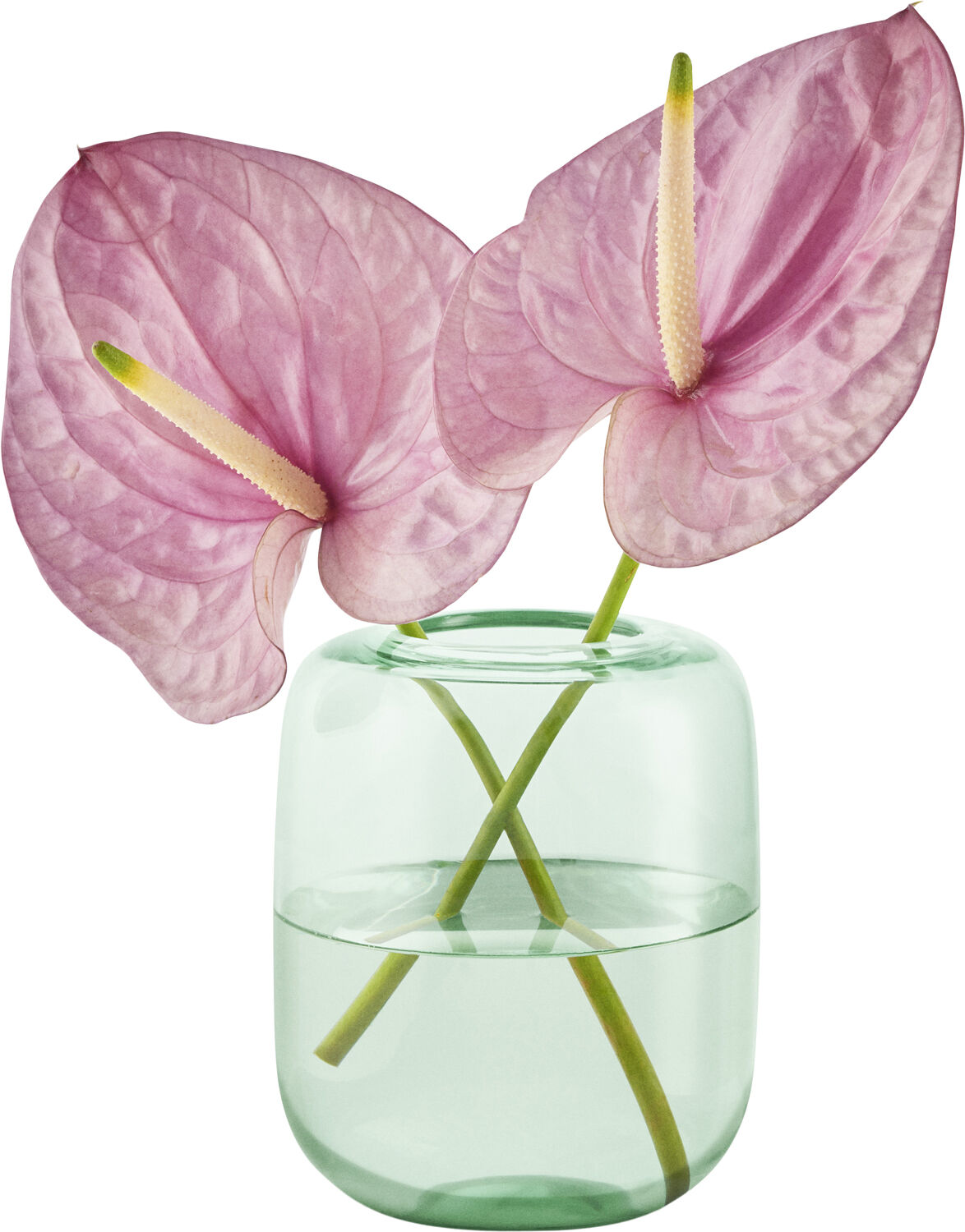 Acorn vase H16,5 Mint green