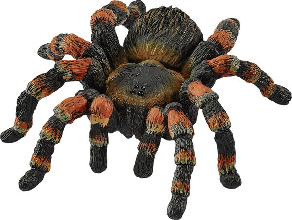 Sch Tarantula