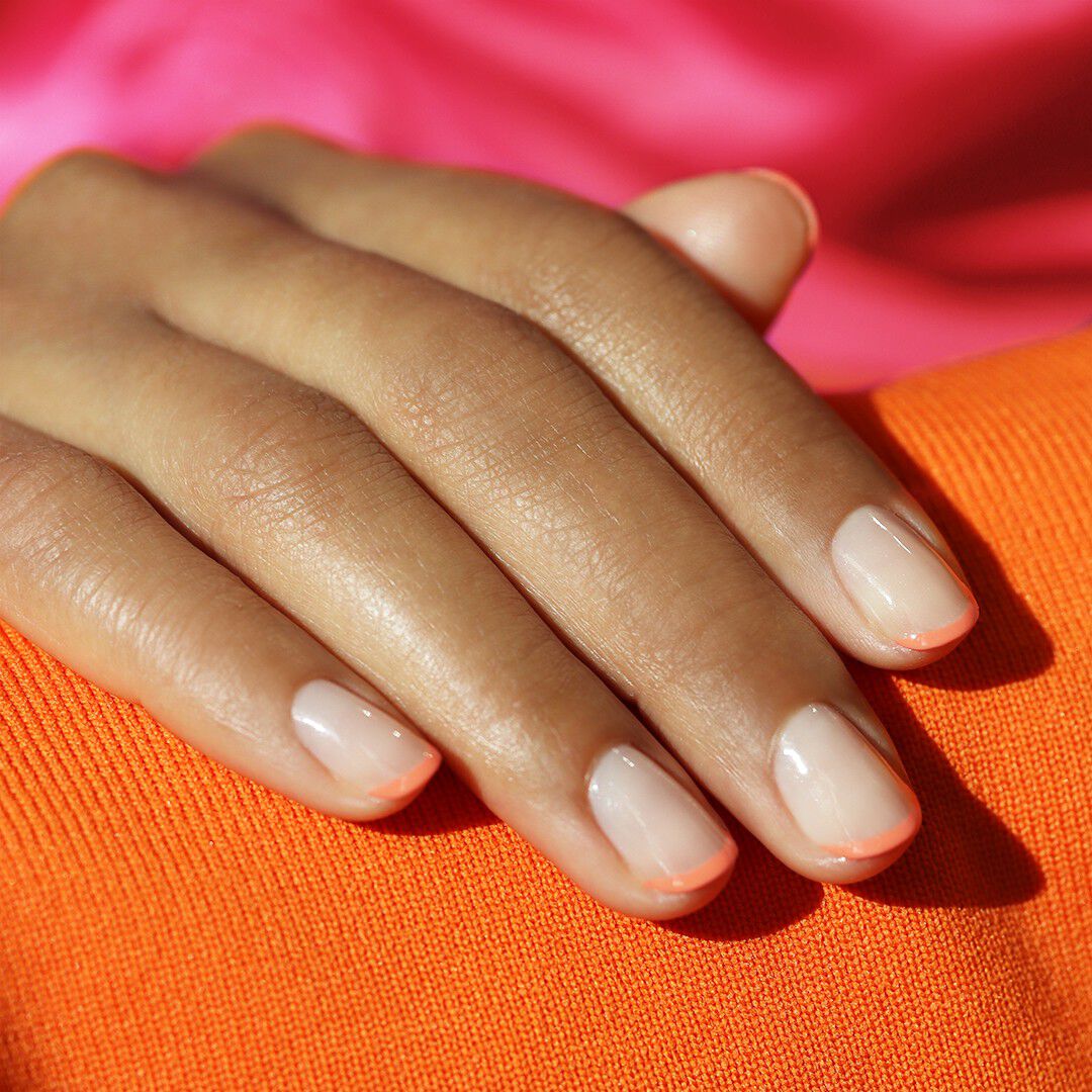 Flash Bird of Paradise