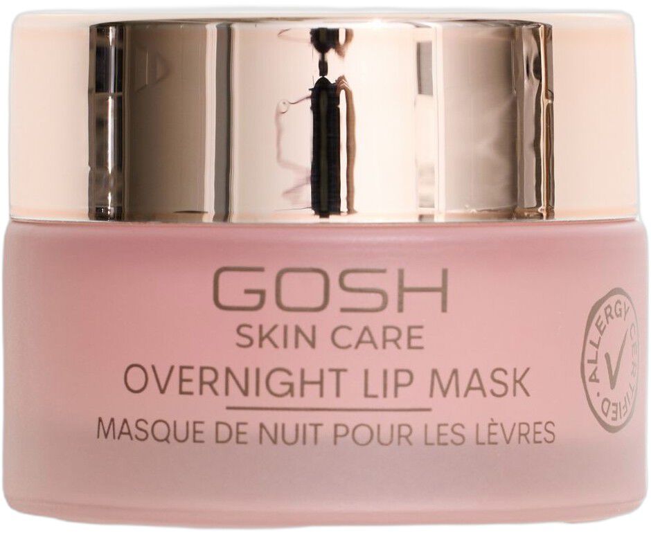 Overnight Lip Mask