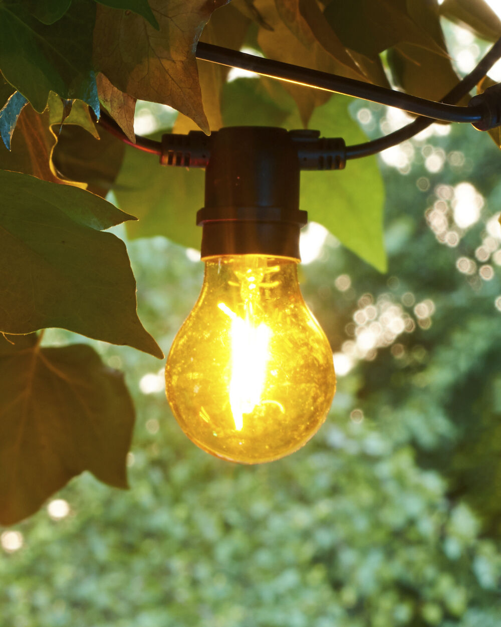 Lucas Suppl. s&aelig;t, 10L, Mat/Sort