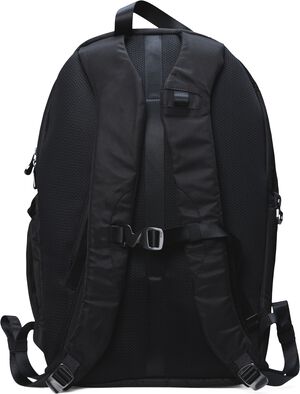 Delphi Backpack W2