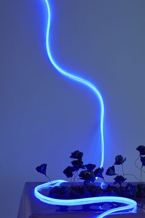 FLEX TUBE, 5 M, BLUE