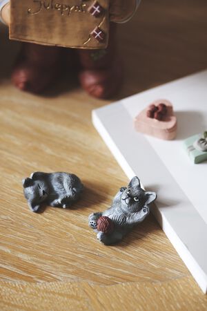 Kattekillinger Miv & Nulle