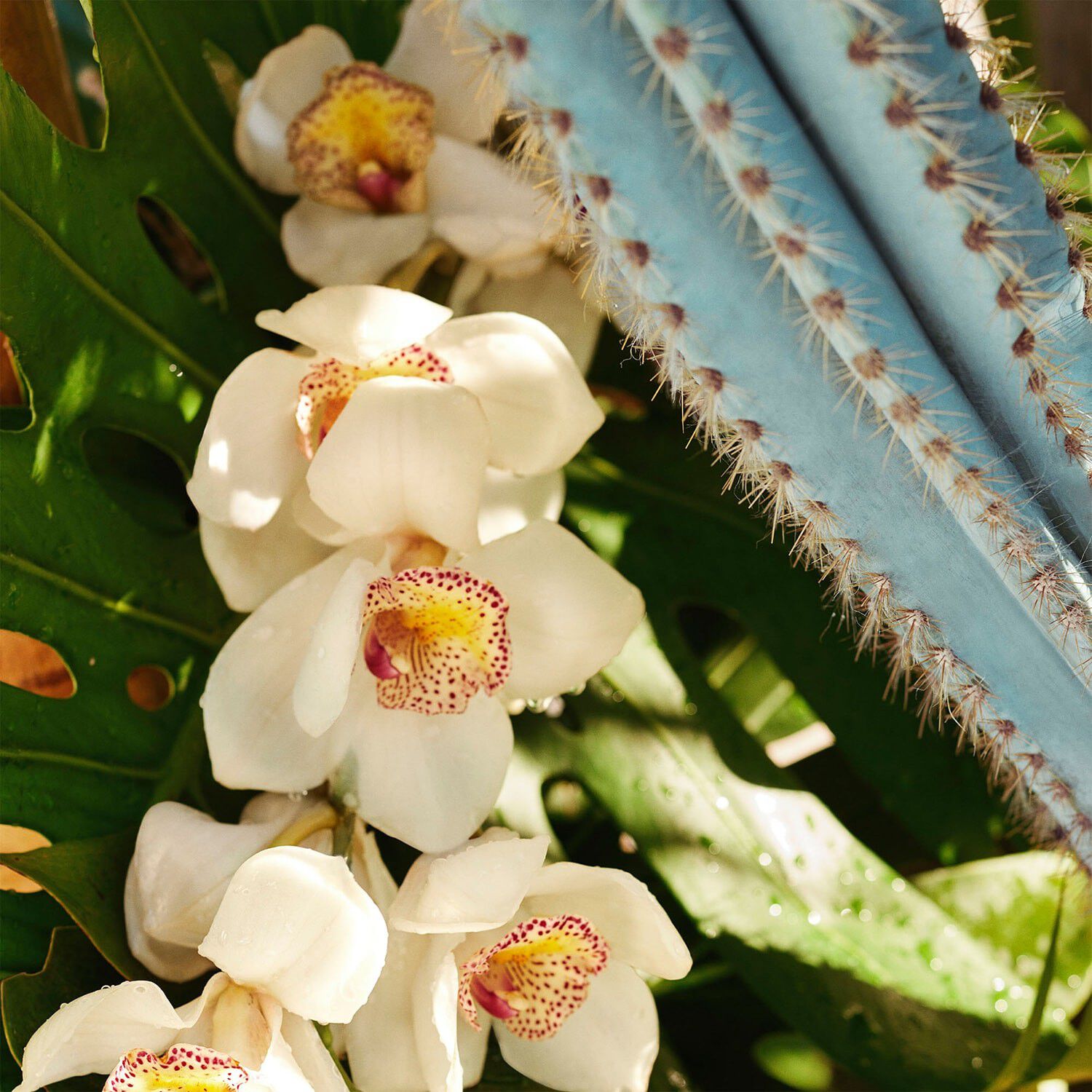 Refresco Para&iacute;so Perfume Mist - Doftmist f&ouml;r kropp & h&aring;r